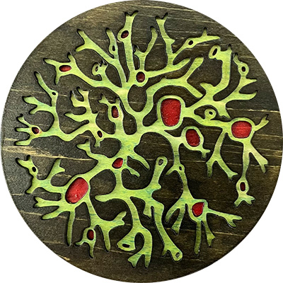 Lichen Coaster in Black Green and Dark Red